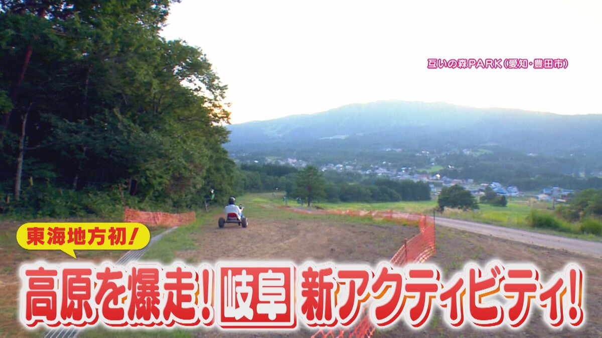 東海初!森の中を駆け抜ける“マウンテンカート”が登場 夏にぴったりな最新アクティビティをご紹介