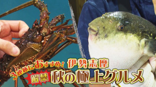 「伊勢エビ」が地域最安値！？「あのりふぐ」のフルコースが付いた一棟貸し切り宿も！秋にオススメの“三重ブランド”極上グルメとは