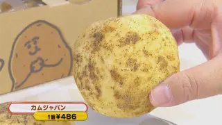 韓国で大ブーム「カムジャパン」の店が東海初上陸！斬新なネオ名古屋めしパンも！今食べるべき秋の新作パンとは