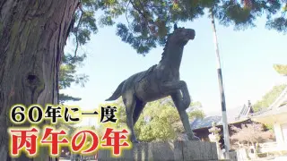 馬の神社で運気アップ！？ラッキーカラーの“福グルメ”も！2026年に訪れるべき東海地方の“開運スポット”とは