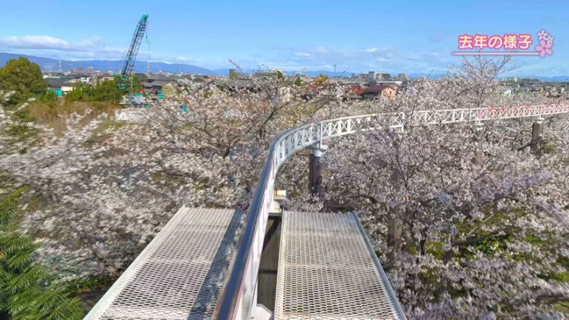 CBCテレビ『花咲かタイムズ』