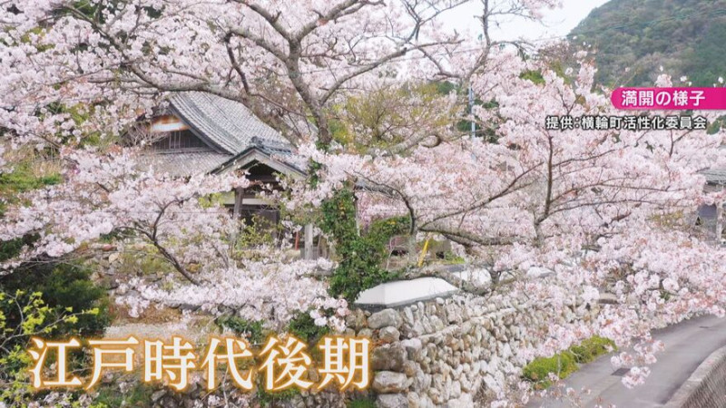 CBCテレビ『花咲かタイムズ』