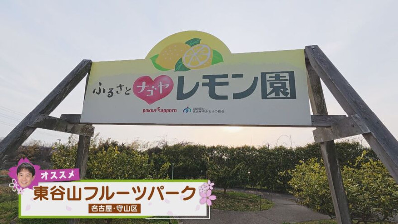 CBCテレビ『花咲かタイムズ』