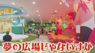 “ネクストブレイク”のハイテク遊具！？大型犬専門ドッグカフェも！雨の日も満喫できる進化系“室内遊び場”とは