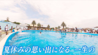この夏行きたいおすすめスポット！島唯一の鉄板料理から発酵＆醸造が主役の横丁、イルカ体験まで