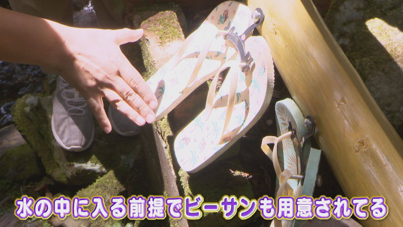 CBCテレビ『花咲かタイムズ』