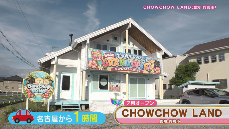 CBCテレビ『花咲かタイムズ』