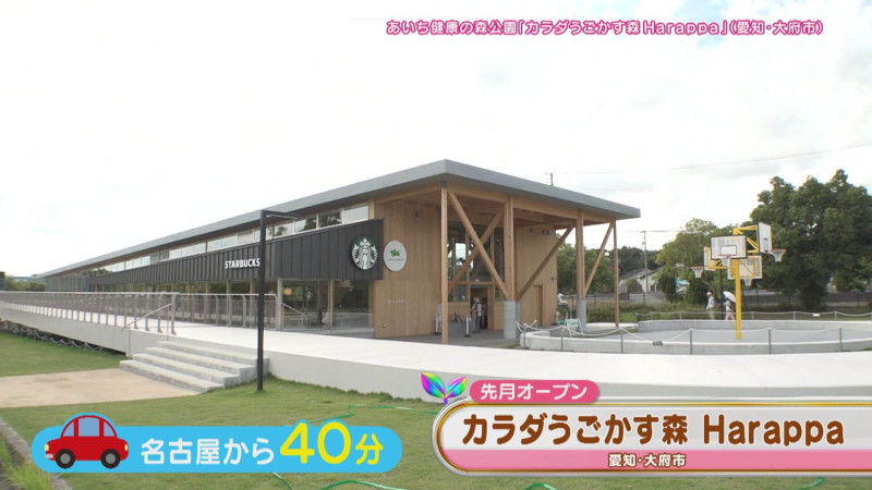 CBCテレビ『花咲かタイムズ』