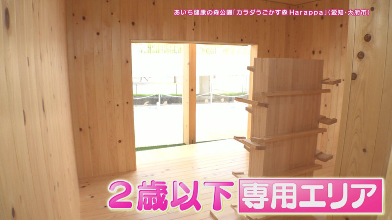 CBCテレビ『花咲かタイムズ』