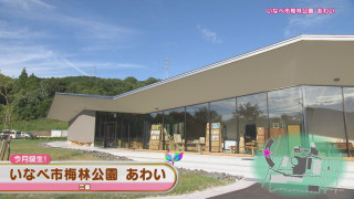 三重県いなべ市の梅林公園が大リニューアル！鈴鹿山脈を一望する絶景宿から体験、買い物まで