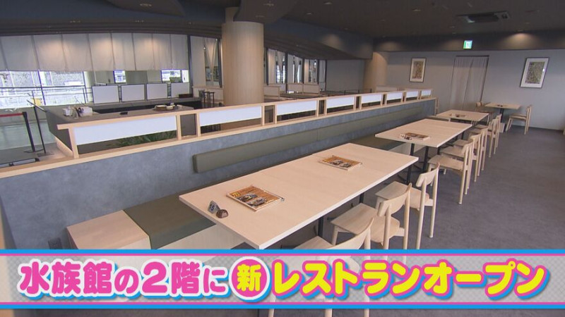 CBCテレビ『花咲かタイムズ』