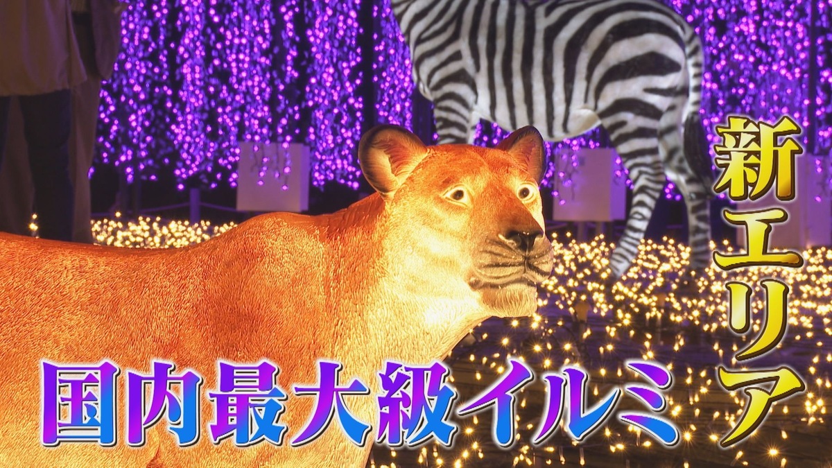 新エリアが登場！点灯時しか見られない超レアな光の演出も　「なばなの里イルミネーション」が開幕！