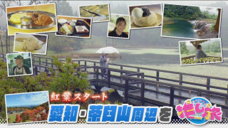 なばなの里イルミ最新最強ガイド!おいでやす小田が茶臼山へ【花咲かタイムズ】