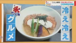 年間3000万食売れるカレーの冷やしバージョンが登場！今年は冷え冷えグルメがアツい！