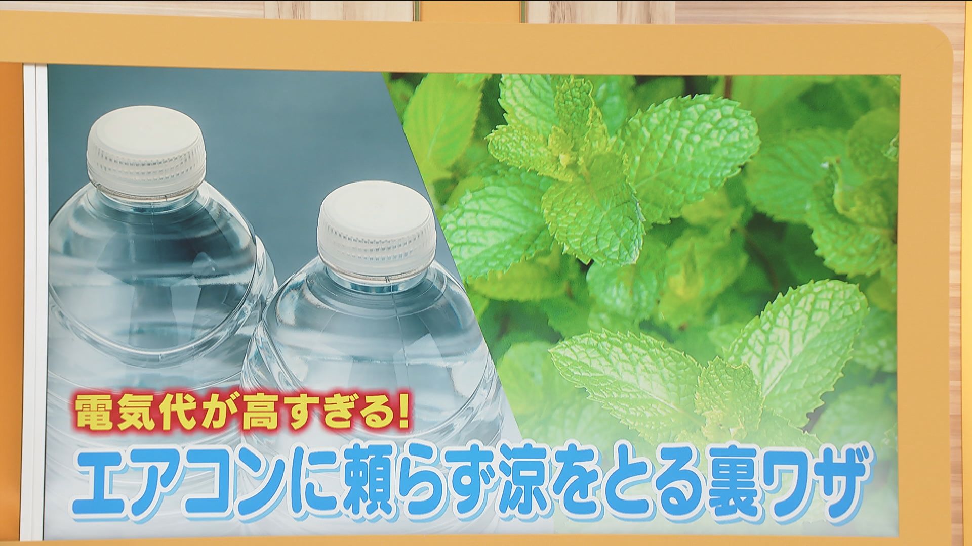 暑さの天敵「湿度」はペットボトルを凍らせて解決！？ エアコンに頼らず涼をとる裏ワザ