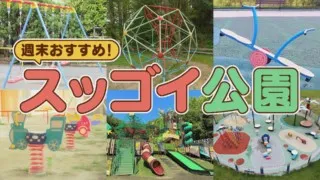 日本で唯一！入園料無料でゾウが見られる動物園！お金を使わず楽しめるコスパ最強スポット