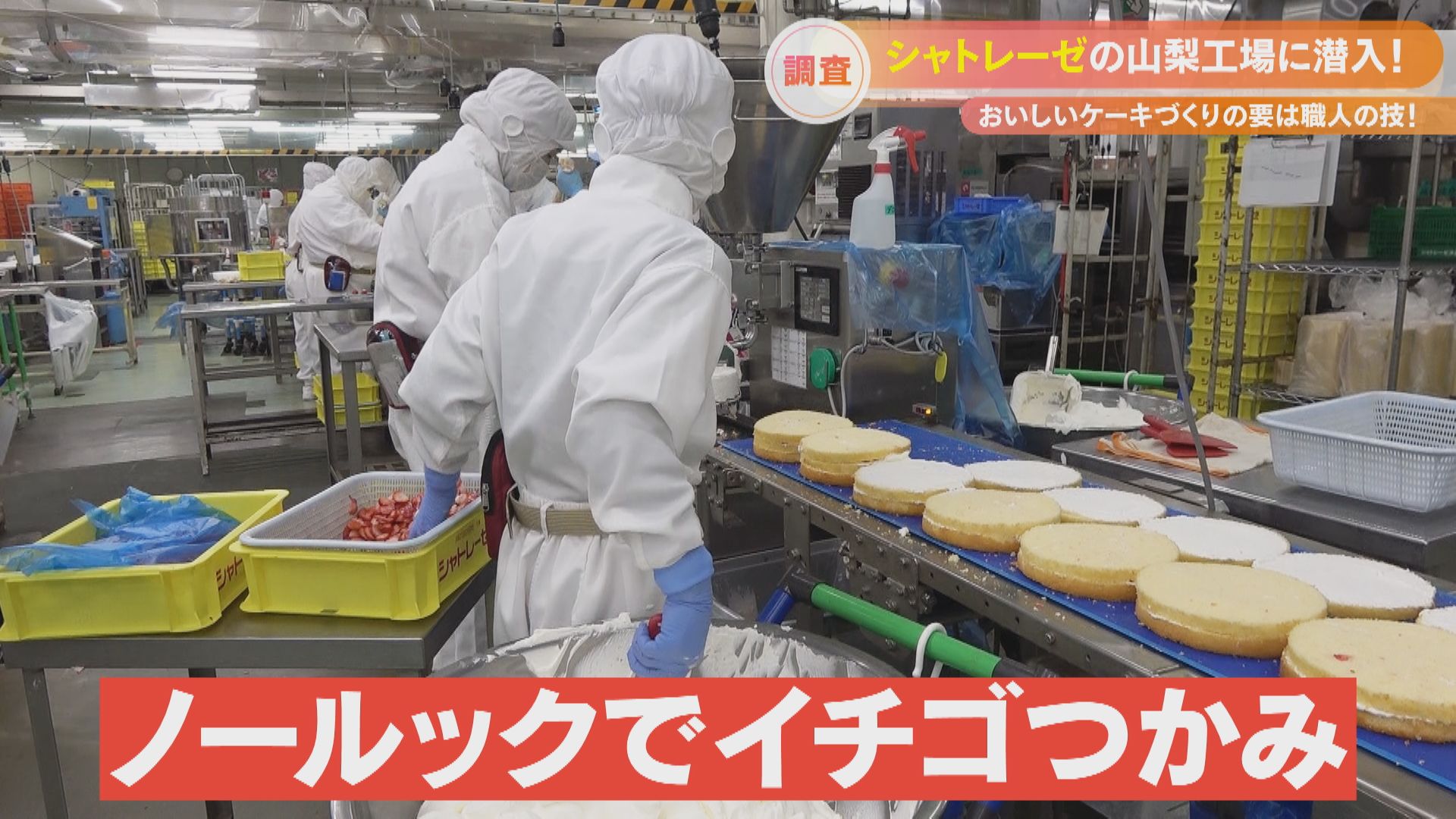 ノールックでイチゴを掴んでケーキ作り！機械と職人技の融合で効率よくお菓子作りをする「シャトレーゼ」工場に潜入！