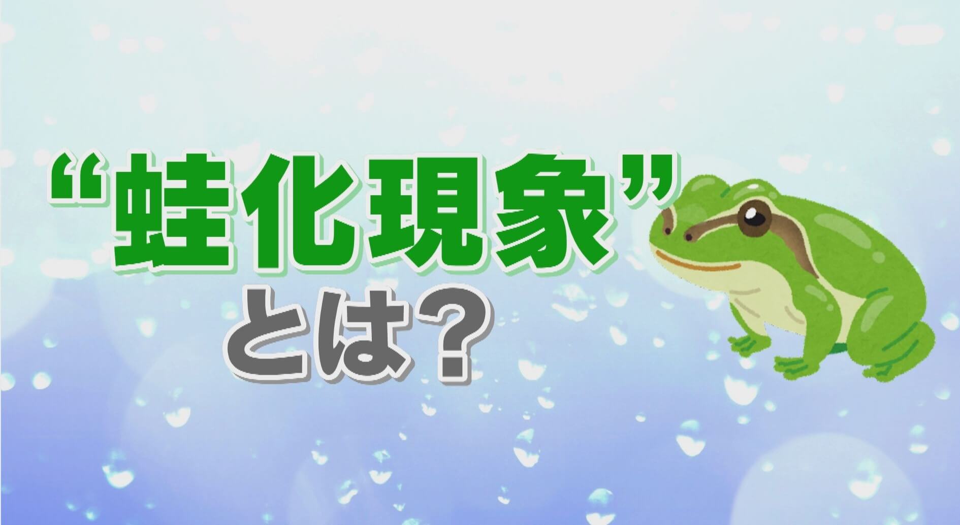 春のカエルさん専用　Wi-Fiフォトナ165 春のカエルさん専用 Wi-Fiフォトナ165