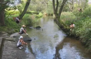 カッパを捕獲したら1000万円！？未確認生物のお祭りやグルメまで！全国各地のユニークな町おこしをご紹介
