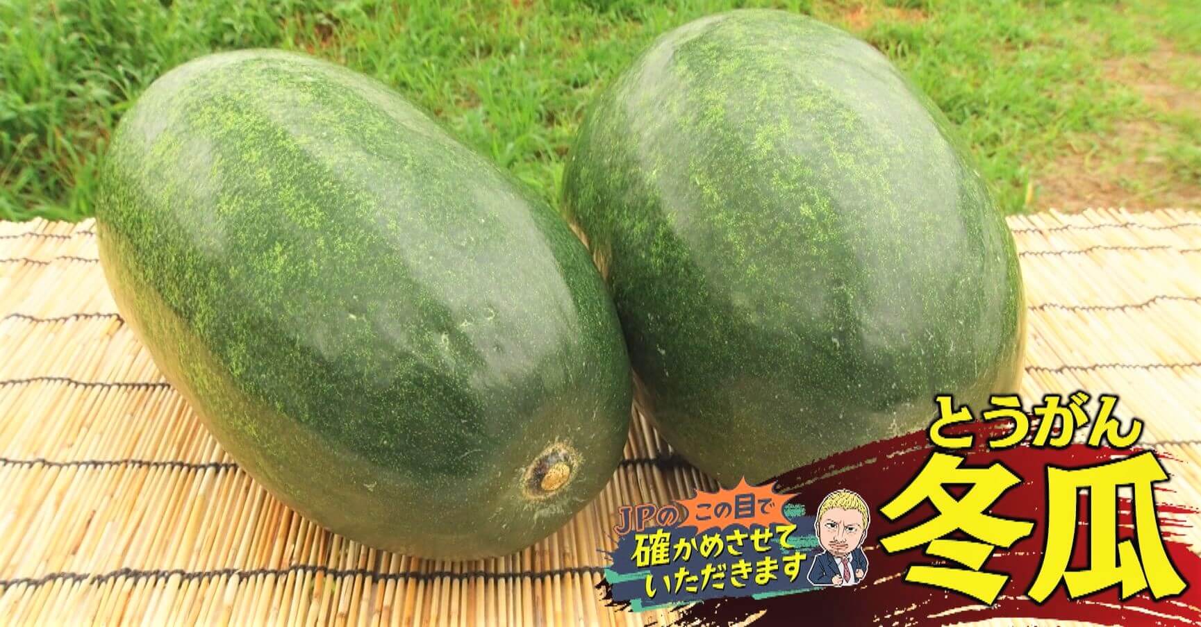 冬瓜の旬は冬じゃない！？ 今が旬の夏野菜・冬瓜の選び方と食べ方を