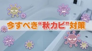 秋こそカビ対策が重要！？夏の暑さを乗り越えた頑固な“秋カビ”に要注意！発生する原因や予防法をご紹介
