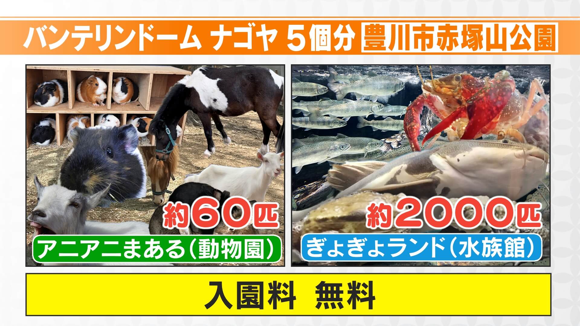 ４月リニューアル！動物に魚！「よくばり」な公園とは？【新生活応援WEEK】