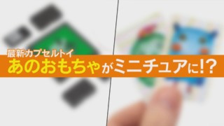 【最新カプセルトイ】あのおもちゃがミニチュアに!?【くらしエンタメ】