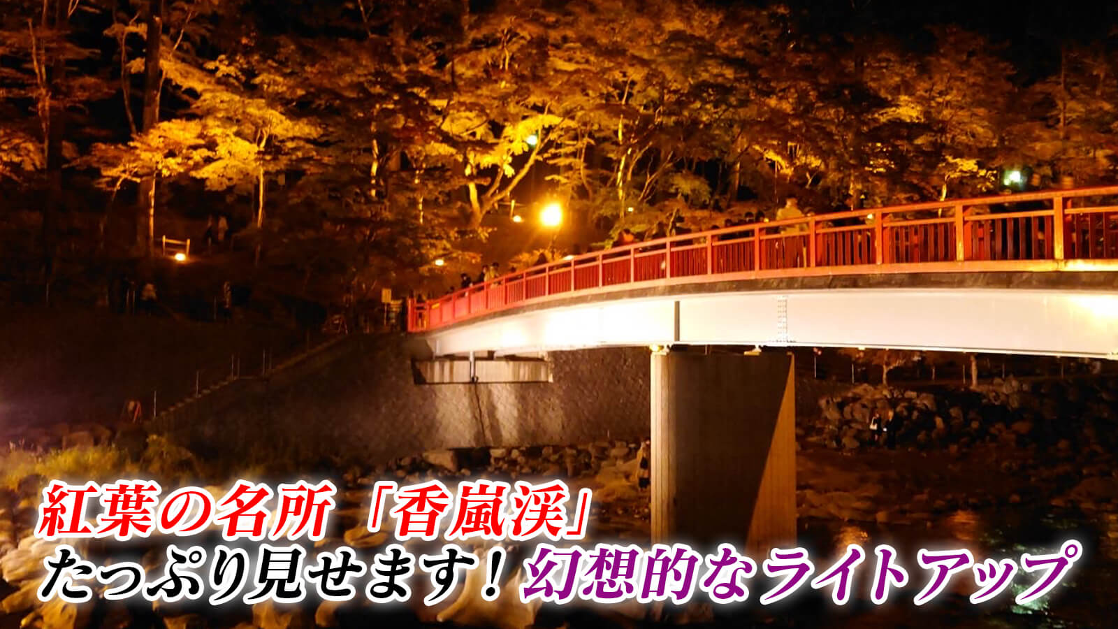 【愛知・豊田市　香嵐渓】東海地方随一の紅葉スポット！４年ぶり復活グルメ＆樹木医に聞くモミジの異変