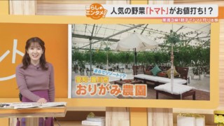 人気の野菜「トマト」がいっぱい食べられる「ミニトマト狩り」知ってる?【くらしエンタメ】