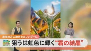 チャンスはシンデレラタイム!?狙うは虹色の霜の結晶【くらしエンタメ】