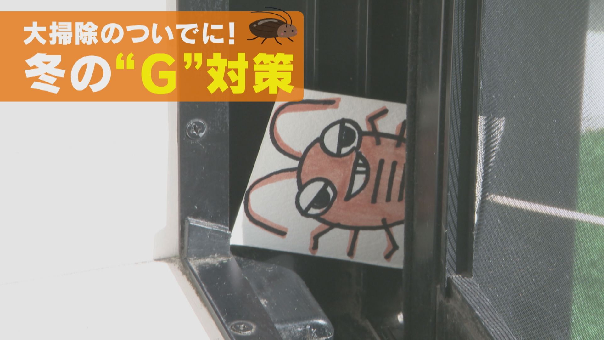 冬こそチャンス！大掃除と一緒に”G”対策を！【家事お役立ちWEEK】