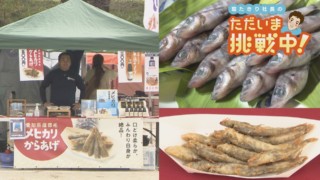 おいしいのに流通しなかった未利用魚「メヒカリ」を全国へ!【チャント!】