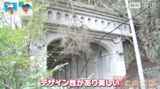 廃道に残る「洞門」の様式美に感動！静岡県・伊豆半島の廃道を巡る旅