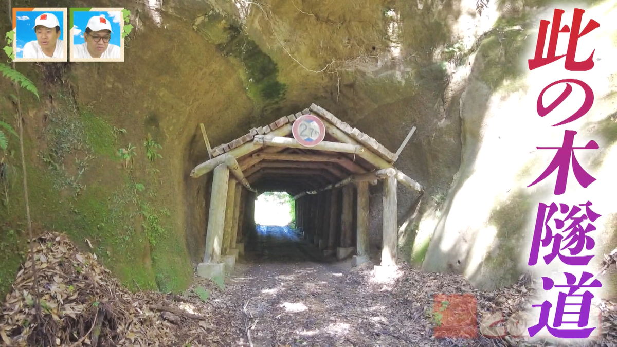 トンネルの中に木の屋根！？ジブリ感が漂う「此の木隧道」とは | CBC