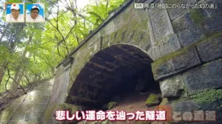 地図にのらなかった“幻の道”　悲しい運命を辿った群馬県の山中に眠る「数坂隧道」とは