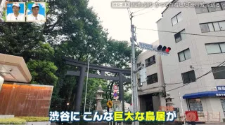 かつては渋谷に城があった！？原宿は本当の原宿ではない！？東京の古道に残る「渋谷城」と「原宿村」の痕跡