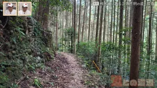 飛騨川の右岸に眠る“正体不明の道”を調査！2つの素掘り隧道も出現…謎だらけの廃道の秘密とは