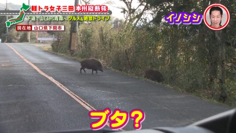 CBCテレビ『道との遭遇』