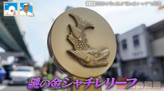 誰が何のために？“謎の金シャチ”が大量に…名古屋の幹線道路・国道41号にレリーフが並ぶワケとは