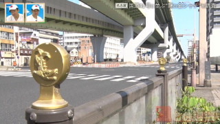 “謎の金シャチ”は何のため？名古屋の幹線道路・国道41号に並ぶ大量のレリーフの正体を探る