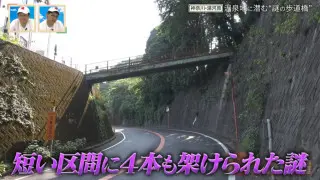 なぜ200mの間に4本の歩道橋が？神奈川県・湯河原に潜む“謎の歩道橋”を解明する旅