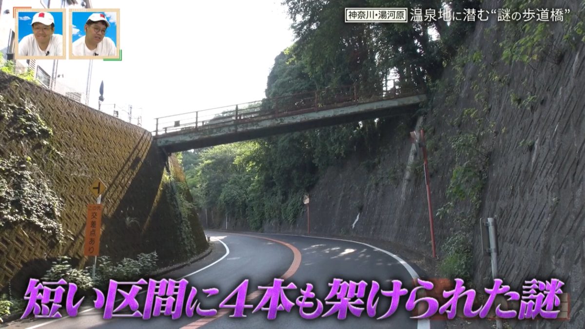 なぜ200mの間に4本の歩道橋が?神奈川県・湯河原に潜む“謎の歩道橋”を解明する旅