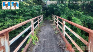 神奈川県の温泉地に潜む“謎の歩道橋” 一角に4本の歩道橋が密集するワケとは？