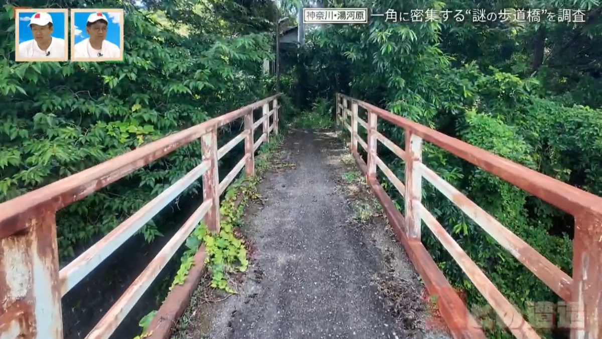 神奈川県の温泉地に潜む“謎の歩道橋” 一角に4本の歩道橋が密集するワケとは?