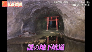 浸水した立ち入り禁止の坑道に佇む“謎の鳥居”！？岐阜にあるかつての軍需工場を道マニアが紹介