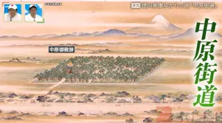 古道を辿ると“地名の由来”が分かる！？徳川家康ゆかりの古道「中原街道」を紐解く旅