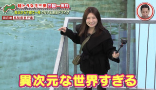 「異次元な世界すぎる！」廃校を改修した「むろと廃校水族館」に大興奮！グラビアアイドル・三田悠貴の軽トラ四国一周の旅