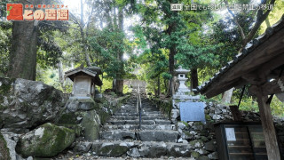 参道が土足厳禁！？1300年近く受け継がれる独自のしきたりとは。惜しくも放送されなかった道マニア厳選の道