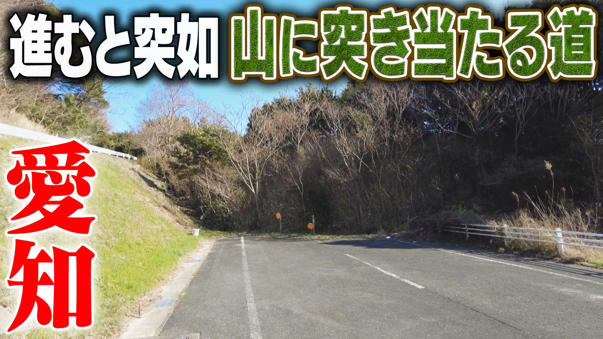 【道マニア視点】愛知・進むと突如山に突き当たる道【道との遭遇】