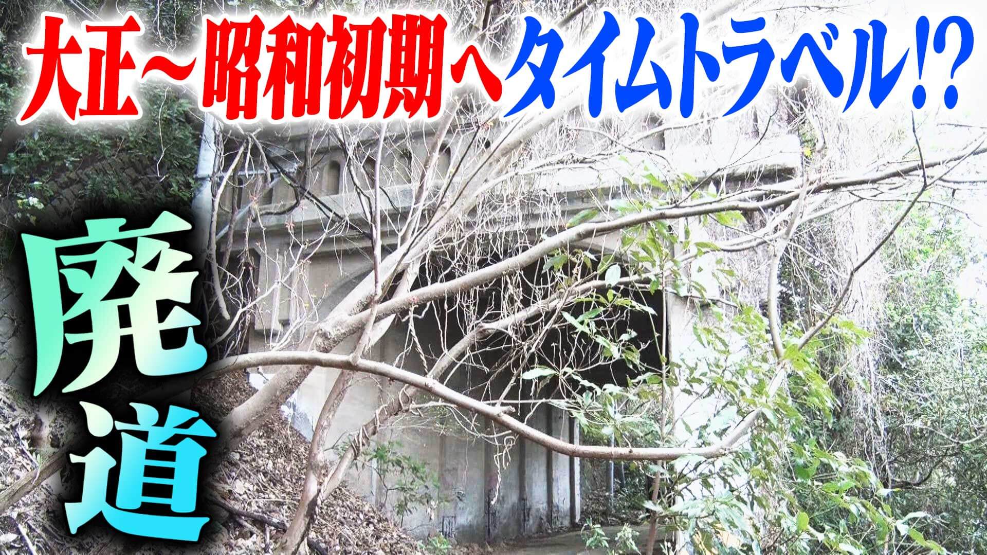 【道マニア】廃道・大正～昭和初期へタイムトラベル！？【道との遭遇】